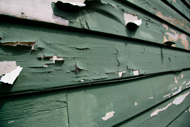 Best Hoarding Cleanup  in Fayetteville, NY